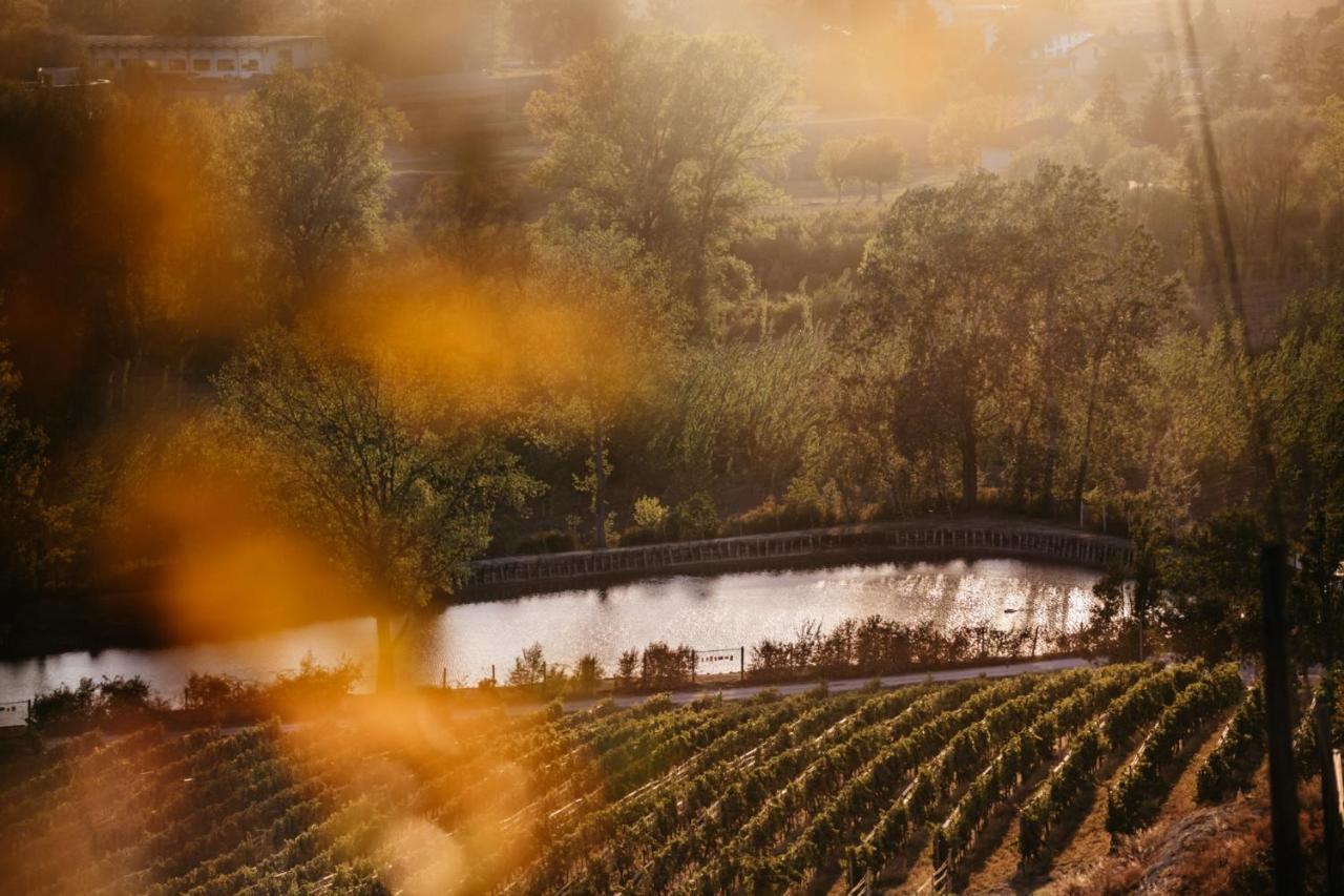 Agriturismo Tenuta La Romana Nizza Monferrato Kültér fotó